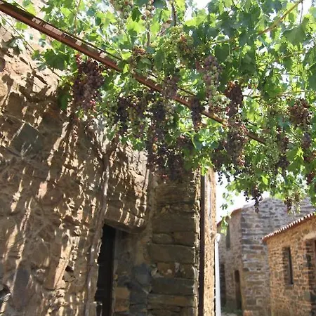 Aldeia Oliveiras Casa vacanze *