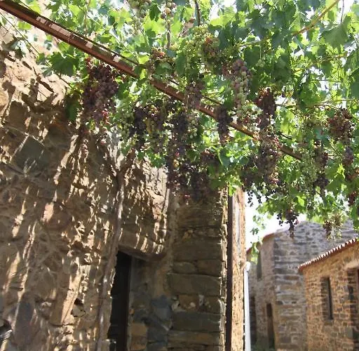 Aldeia Oliveiras Holiday home *