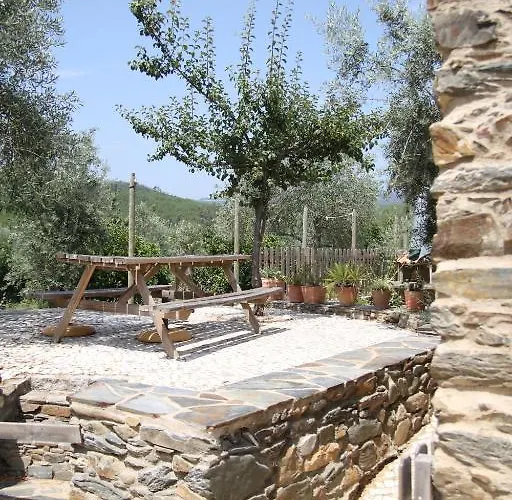 Aldeia Oliveiras Holiday home *